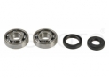 seals kit+crankshaft bearing Suzuki