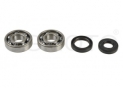 seals kit+crankshaft bearing Suzuki