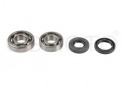 seals kit+crankshaft bearing Yamaha