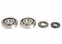 seals kit+crankshaft bearing Kawasaki
